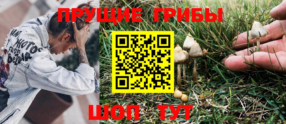 Ковров  Псилоцибиновые грибы GOLDEN TEACHER  где найти наркотики  Вход с VPN 